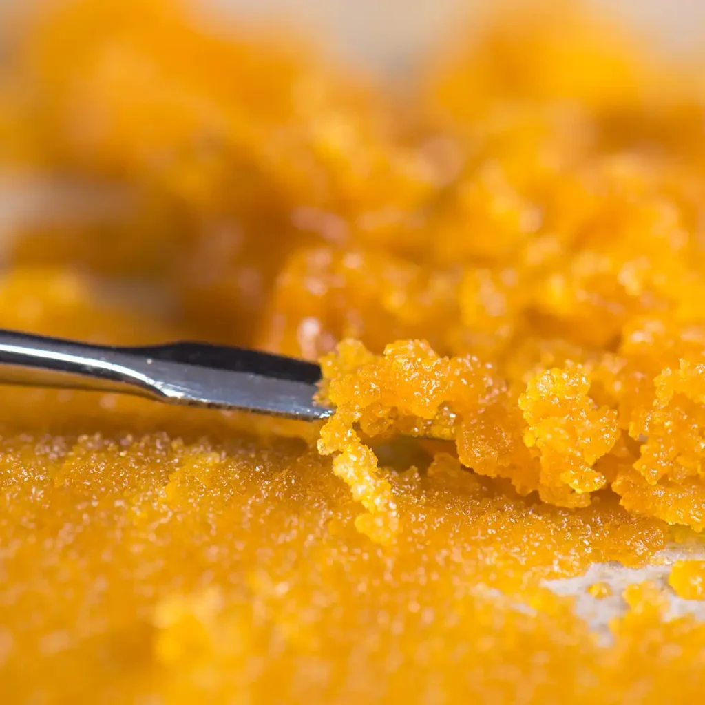 Yilo-Ctgry-Concentrates
